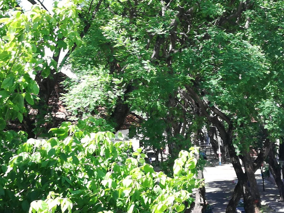 Private Room In Beautiful Home Montevideo Ngoại thất bức ảnh