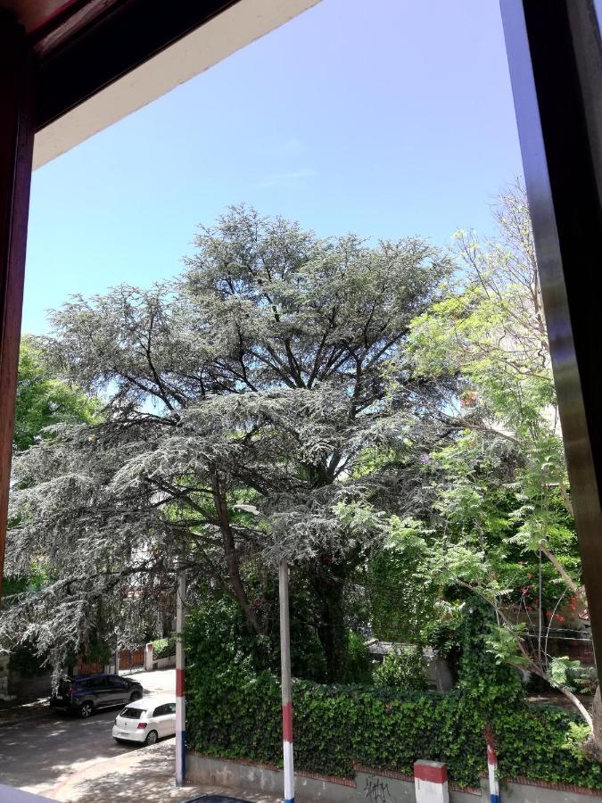 Private Room In Beautiful Home Montevideo Ngoại thất bức ảnh