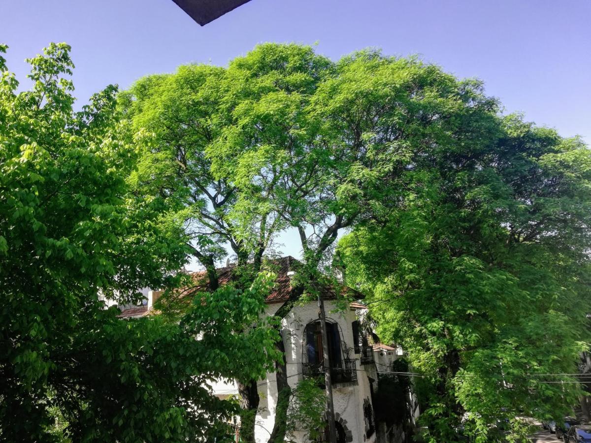 Private Room In Beautiful Home Montevideo Ngoại thất bức ảnh